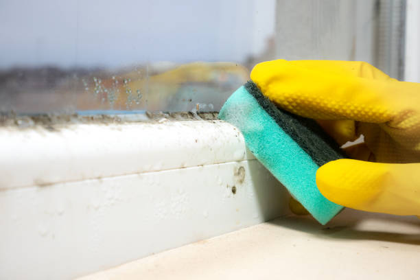 Best Industrial Mold Remediation in Bladenboro, NC